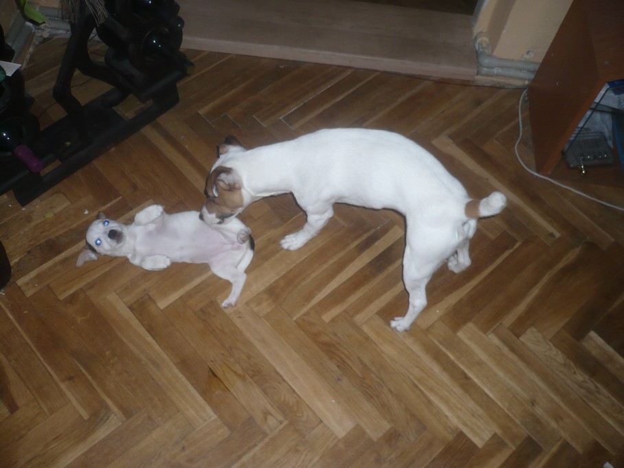 P1090229.JPG